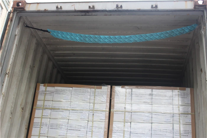 desiccant bag for container.JPG