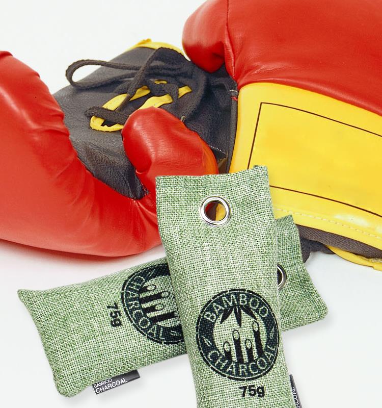 2 Pack Air Purifying Bag.jpg