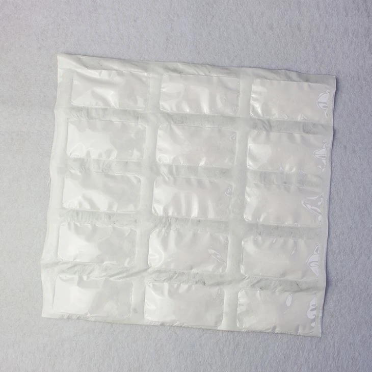 Tyvek Sachet Desiccant Suplier 20 лет