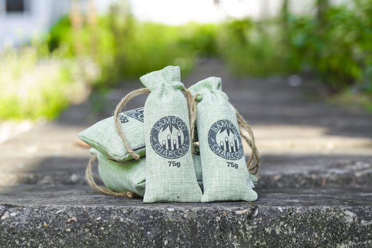 Защитный боксер для обуви Bamboo Charcoal Bag